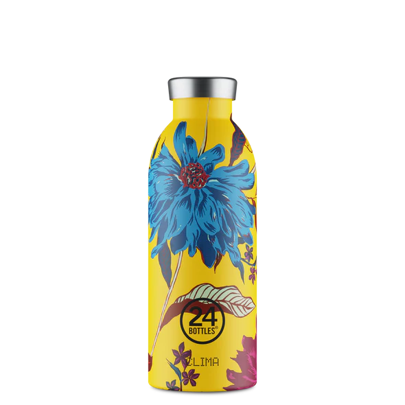 Clima Bottle 500 ml Aster