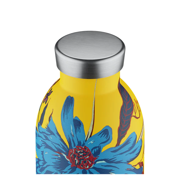 Clima Bottle 500 ml Aster