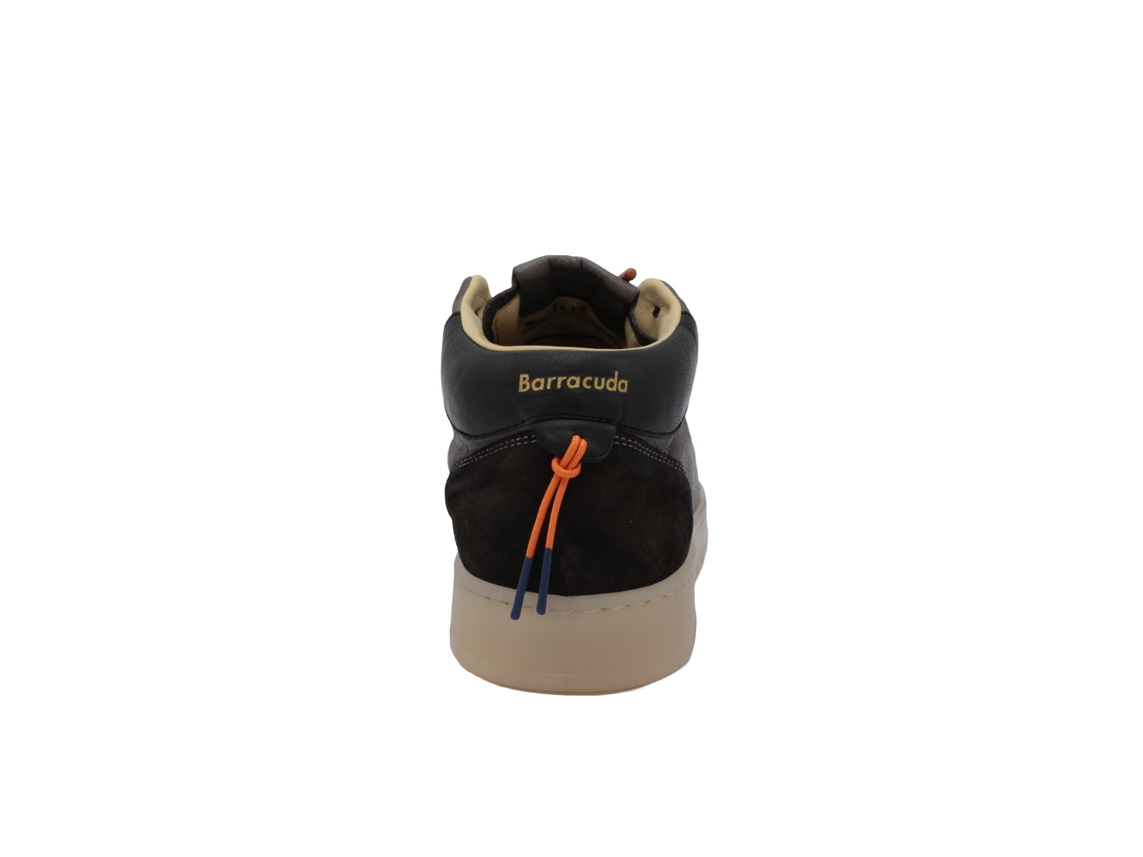 Barracuda Sneaker Alta