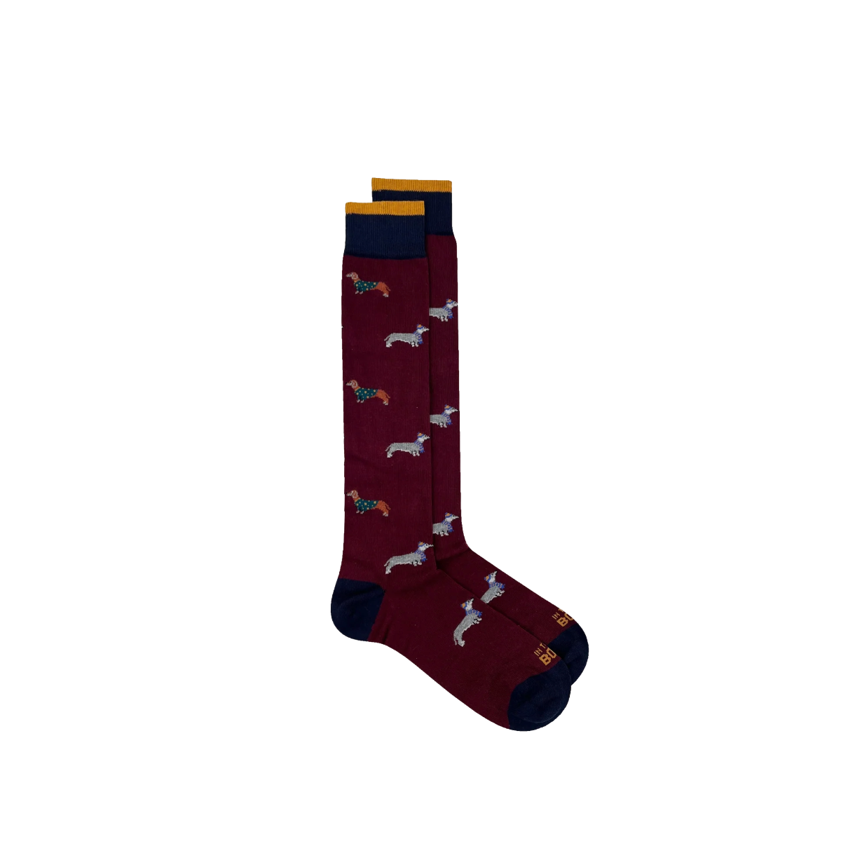 In The Box Calze Bassotto