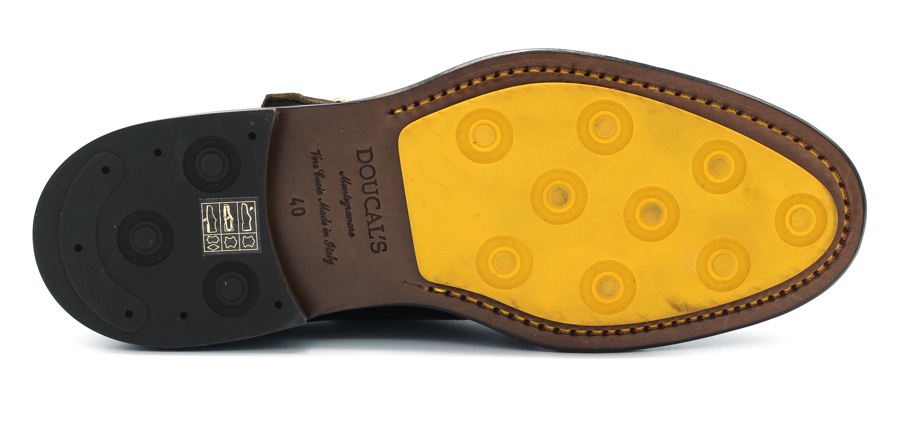 Doucal's scarpa horse