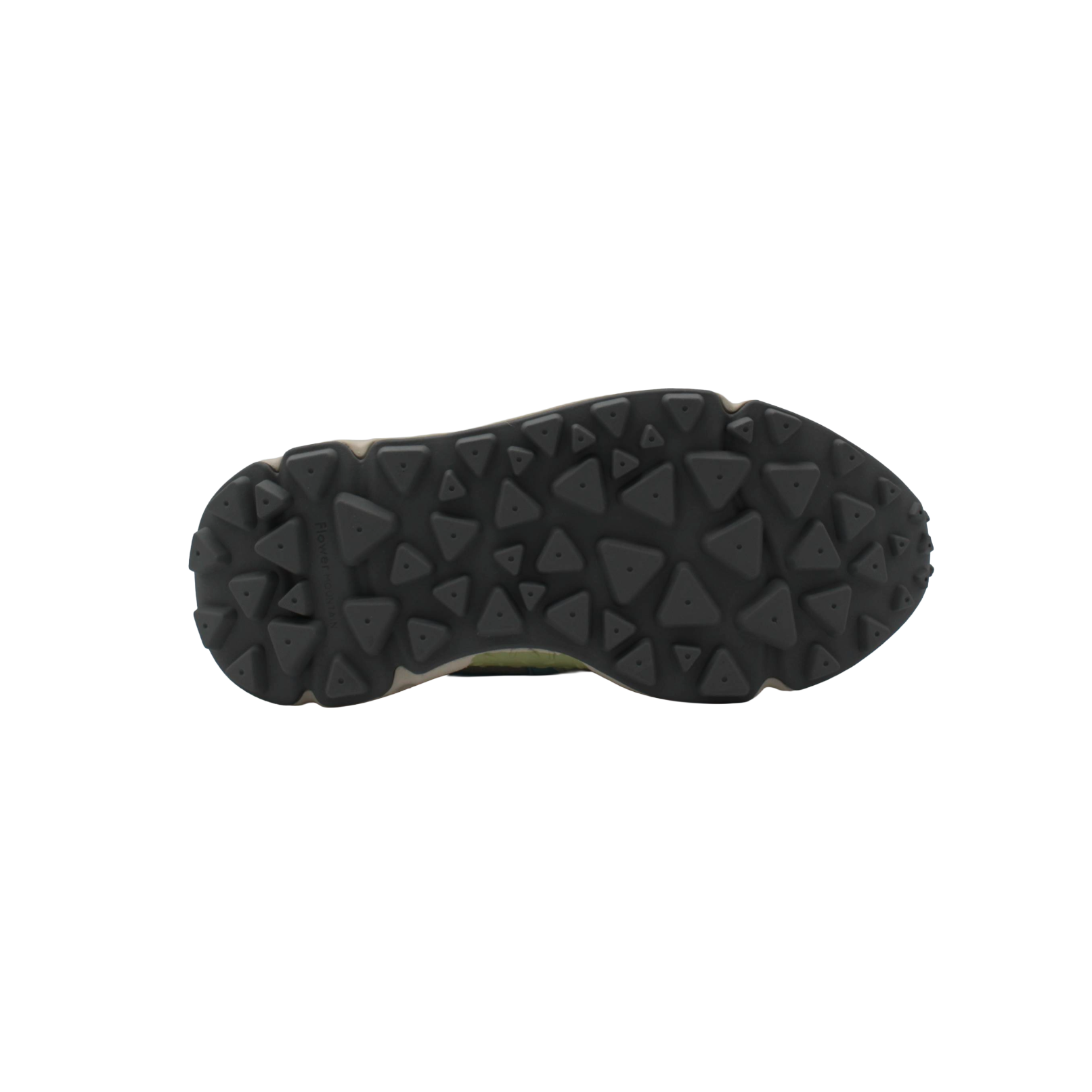 2017817 1E94_FLOWER_MOUNTAIN_