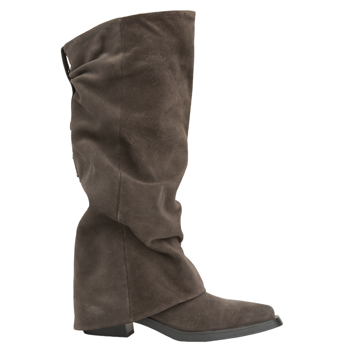 Ash Stivale in Suede Liam