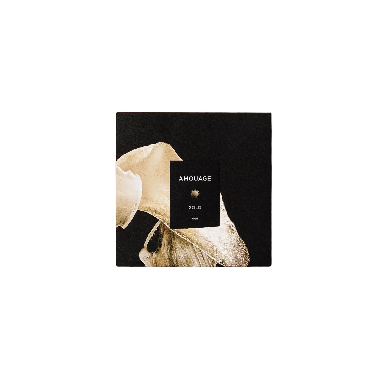 Perfume GOLD Man 34096